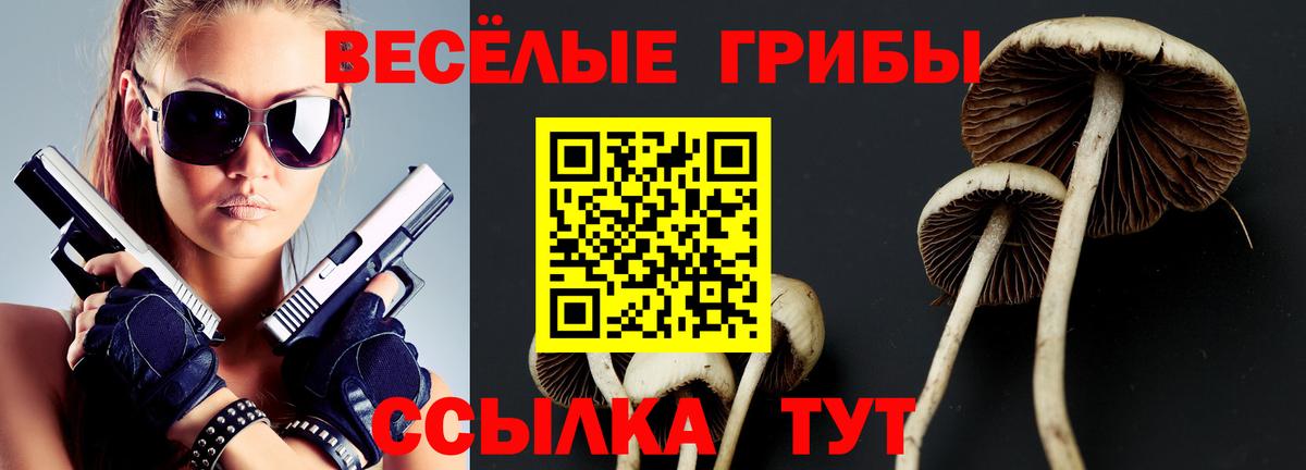 Галлюциногенные грибы Cubensis Жуковский